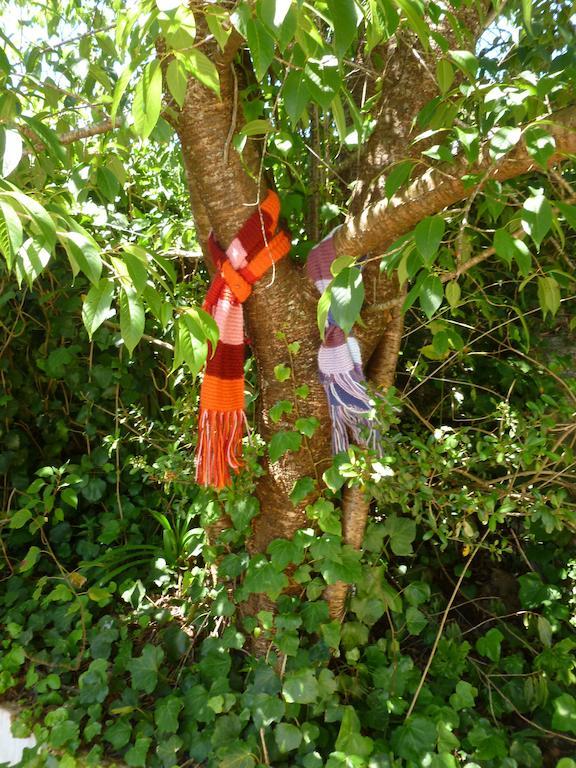 Pousada Dos Esquilos Campos do Jordão Екстериор снимка